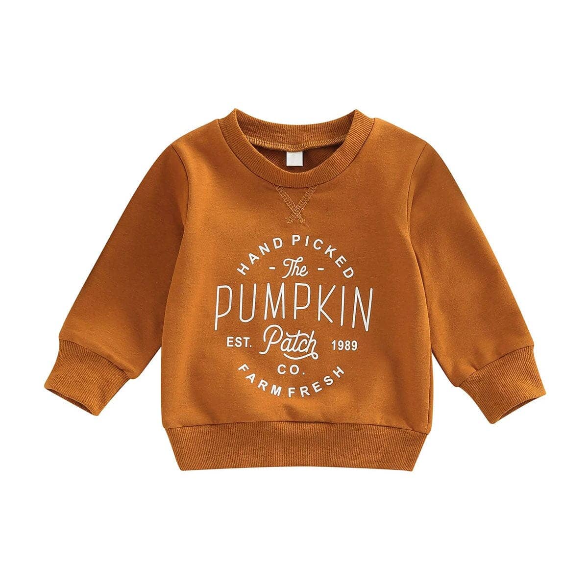 Pumpkin Toddler Sweatshirt - Kumfy Kids
